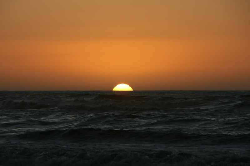 Nieuw-Zeeland 2011 - 1379